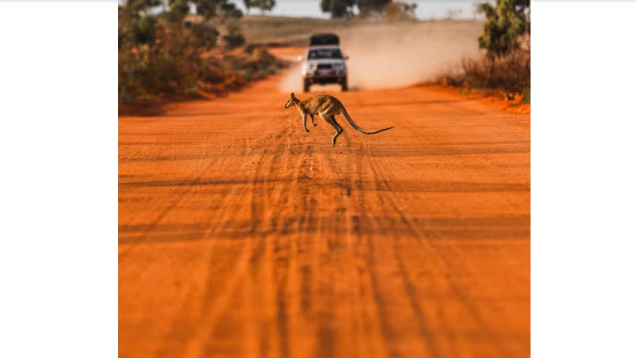 Road trips - Abstract Aerial Art Getty Images.jpg