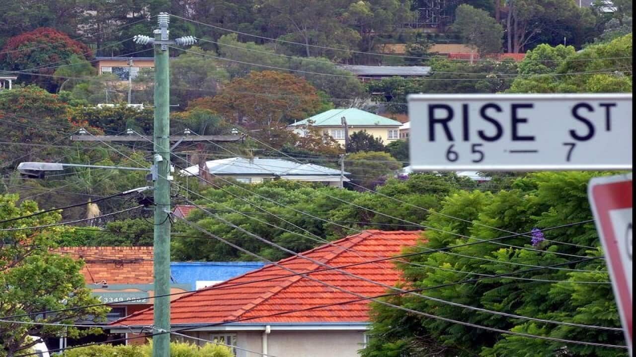 rooftops amid trees and street sign for Rise St