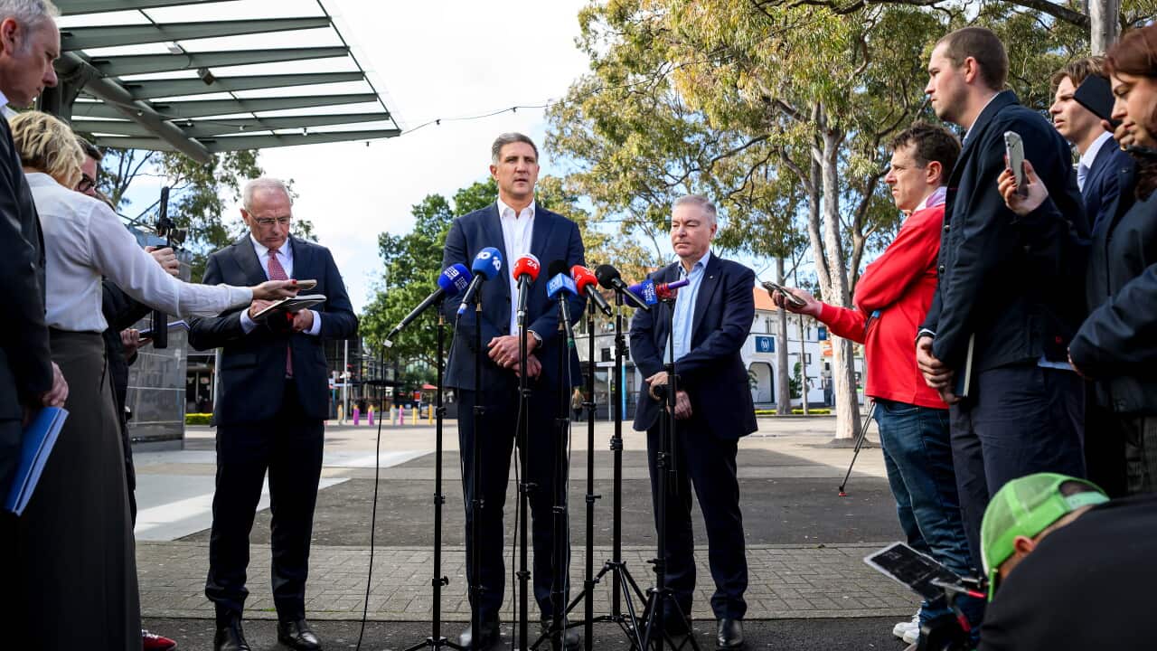AFL SYDNEY SWANS INVESTIGATION