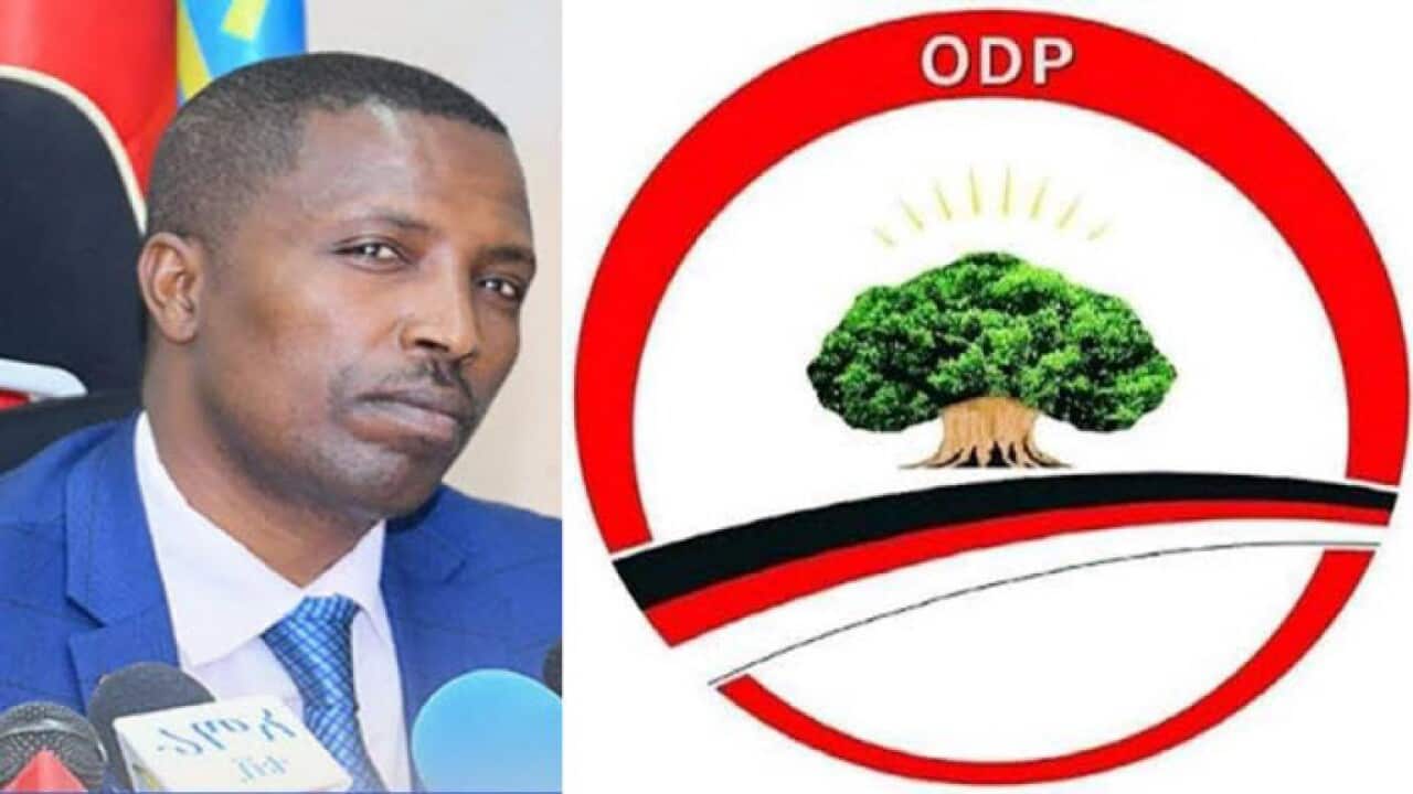 Interview with Taye Dendea