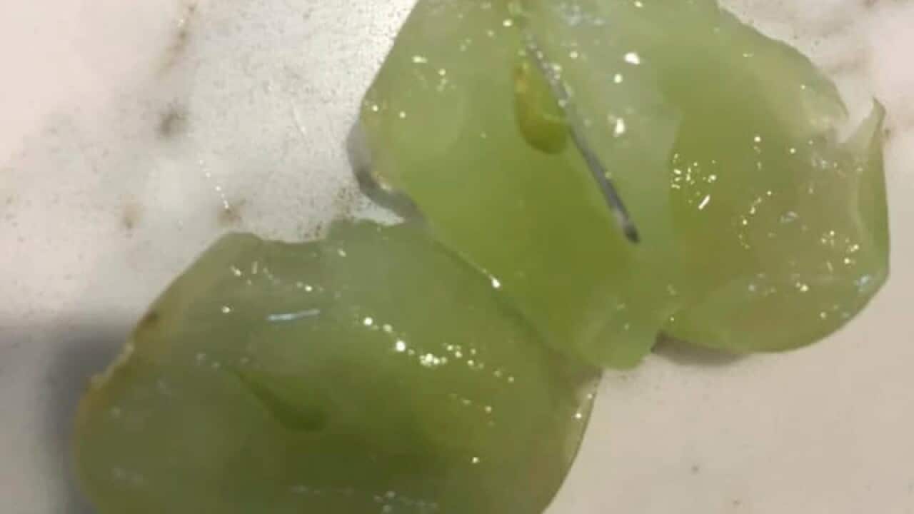 Photo of a needle found in a grape at Caroline Springs.