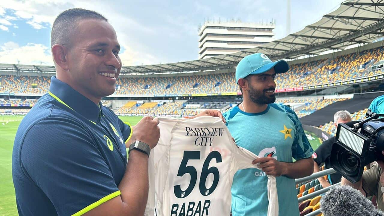 WhatsApp Image 2024-11-15 at 04.56.19.jpeg