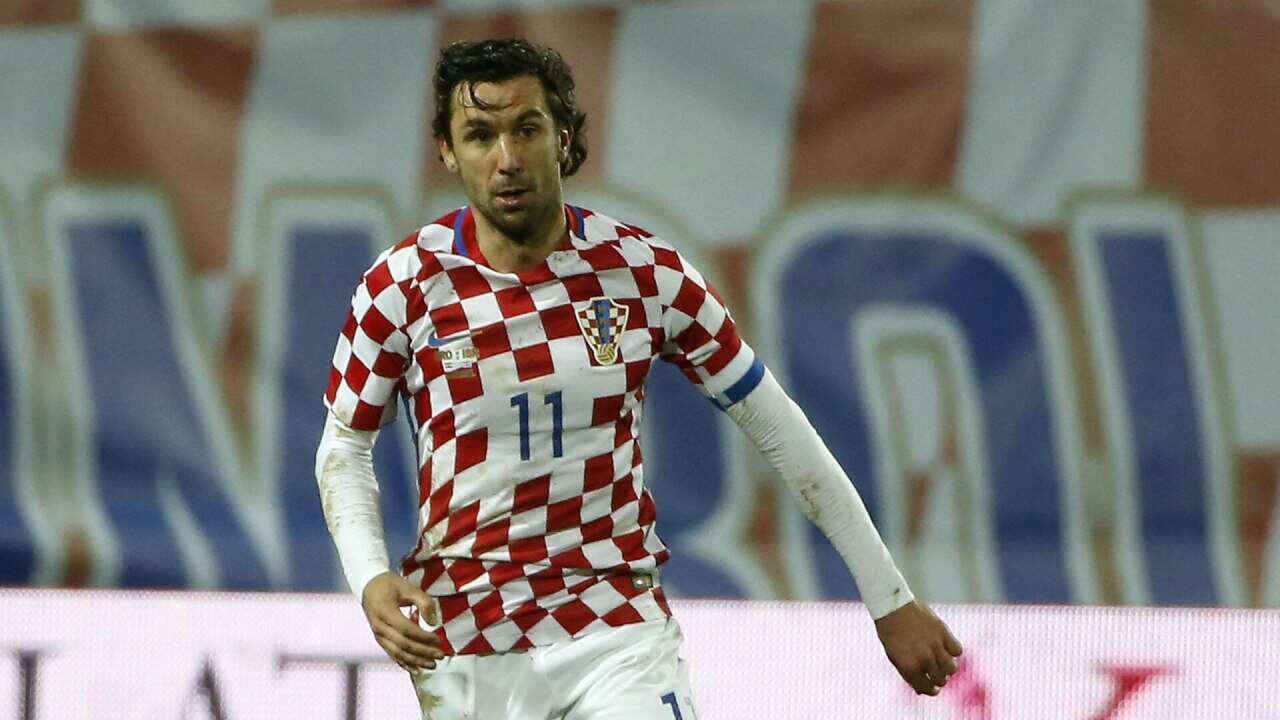 Darijo Srna
