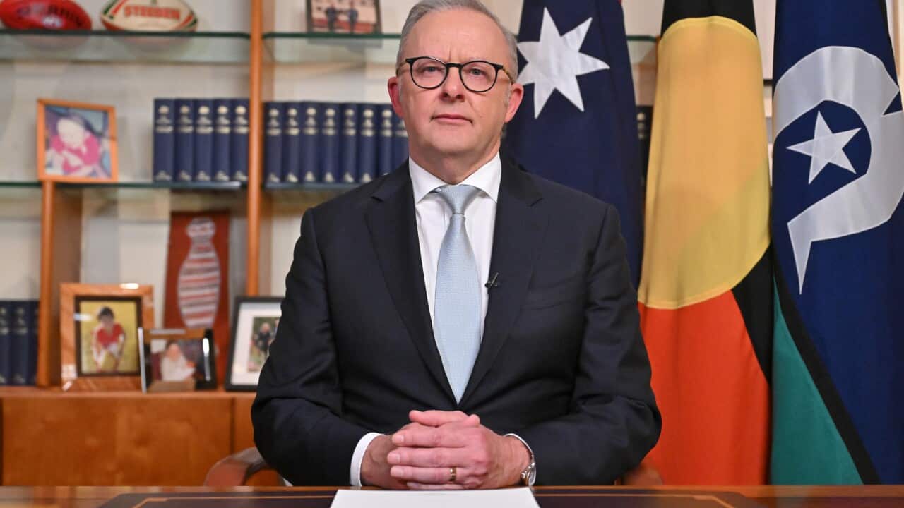 ANTHONY ALBANESE NATIONAL BROADCAST