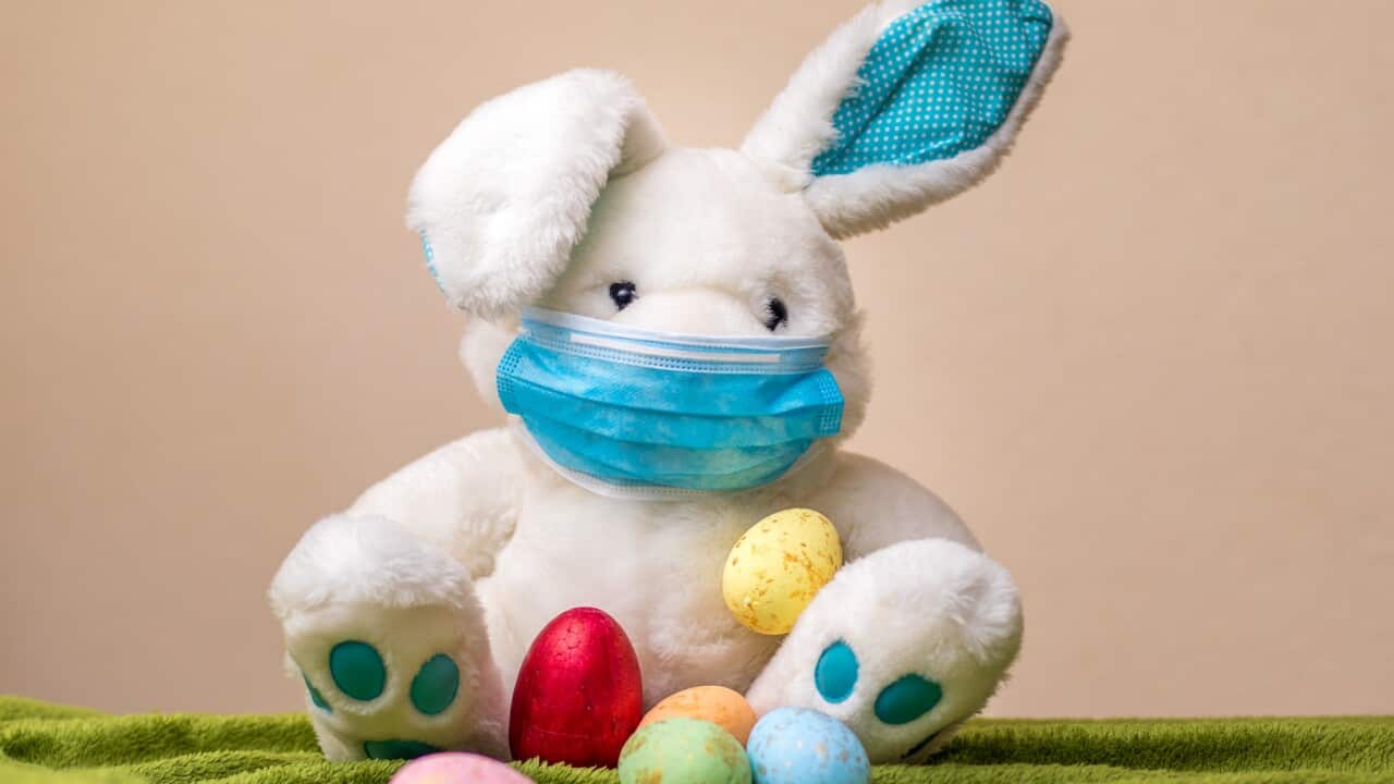 Easter bunny with easter eggs wearing a face mask