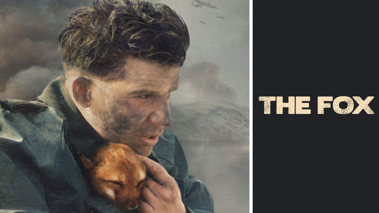 The Fox 1.jpg