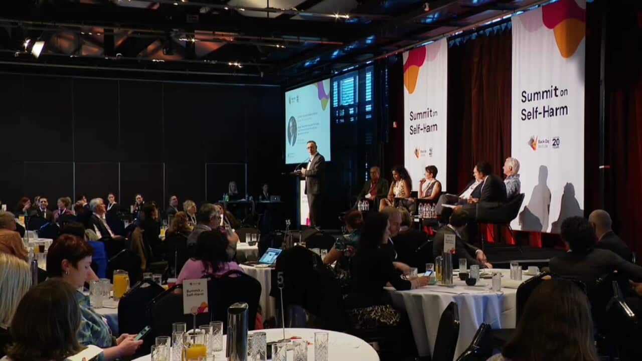 The Self Harm summit underway in Sydney (SBS).jpg