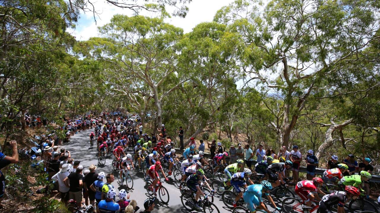 Santos Tour Down Under