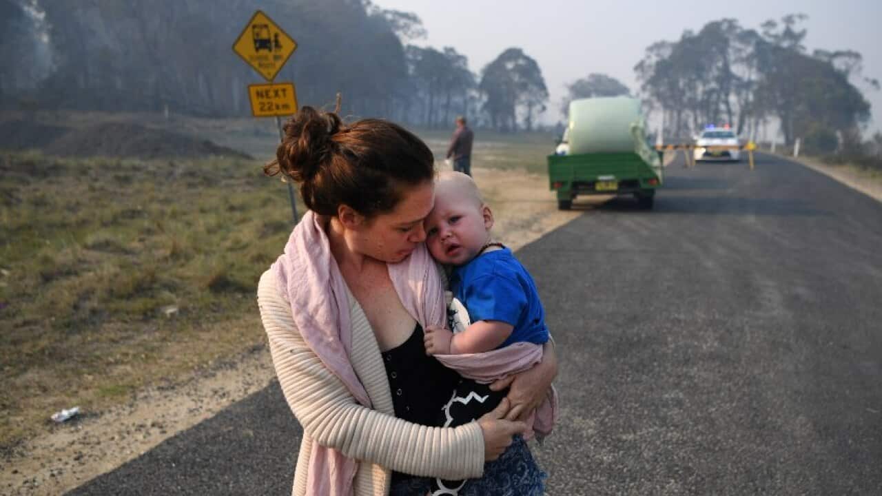 NSW bushfires
