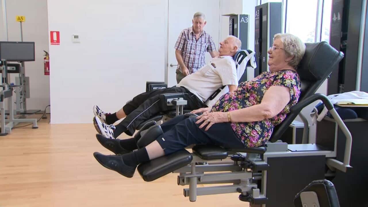 1.2 million Australians are estimated to have osteoporosis