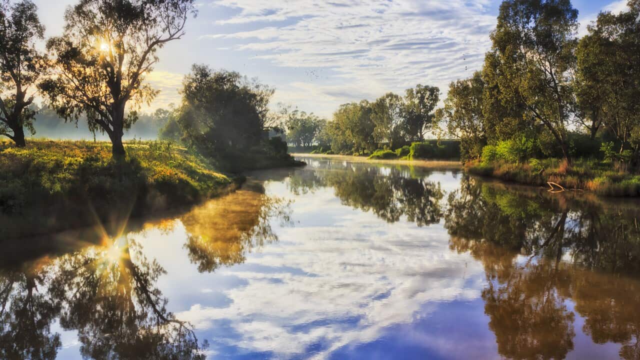 macquarie river indigenous wahluu