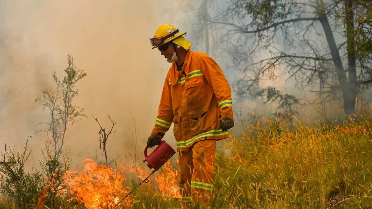 CFA strike teams performing controlled burning west of Corryong, Victoria, Tuesday, January 7, 2020.