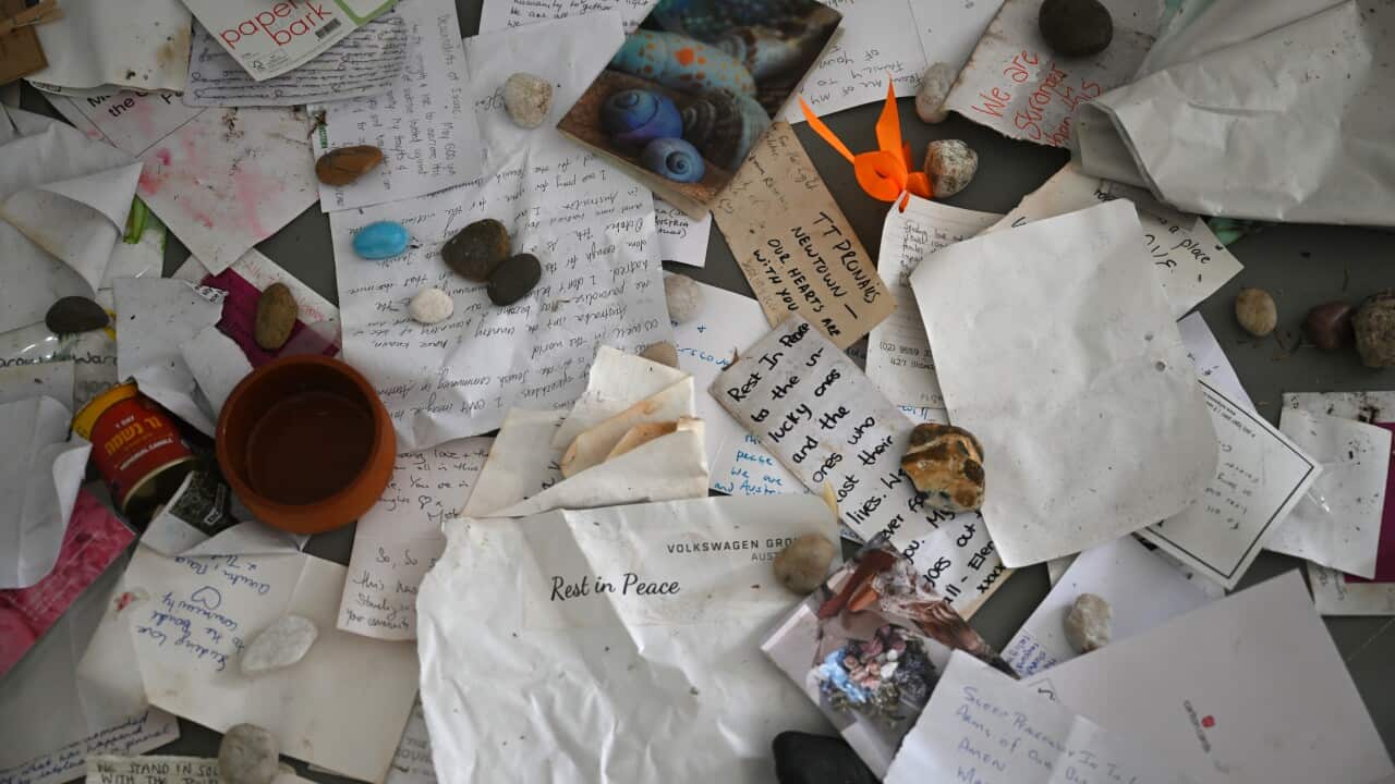 BONDI BEACH SHOOTING