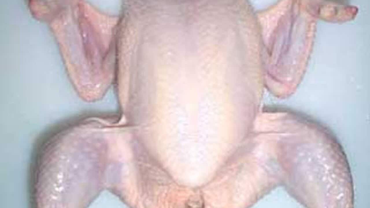frozen_chicken_0402_b_sbs_1718174713