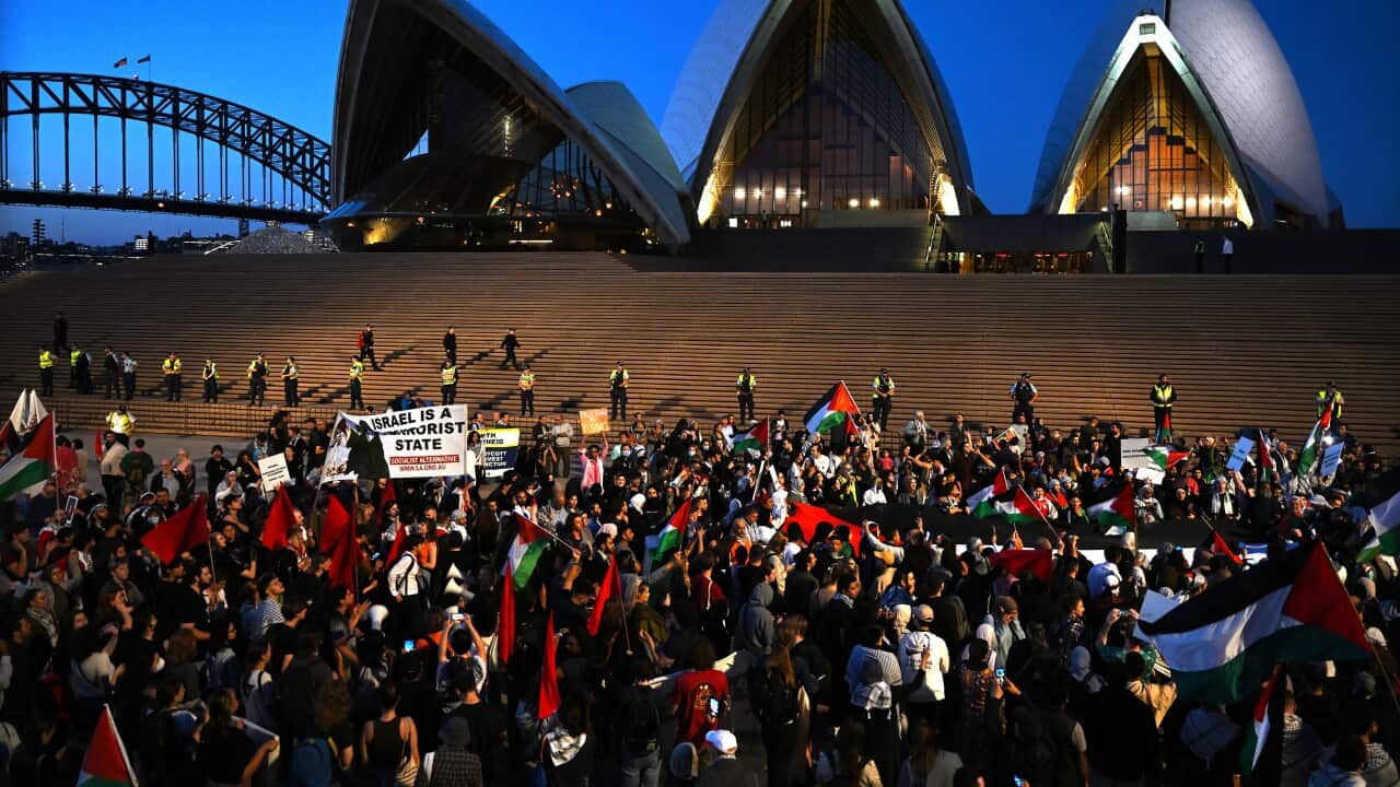 FREE PALESTINE RALLY SYDNEY