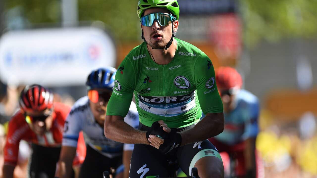 Peter Sagan Hulks out over the 2019 Tour de France Stage 5 finish line in Colmar (Getty)