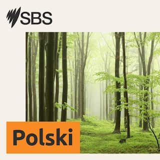 SBS-Podcasts_New_SBSPolish_3000x3000px.jpg