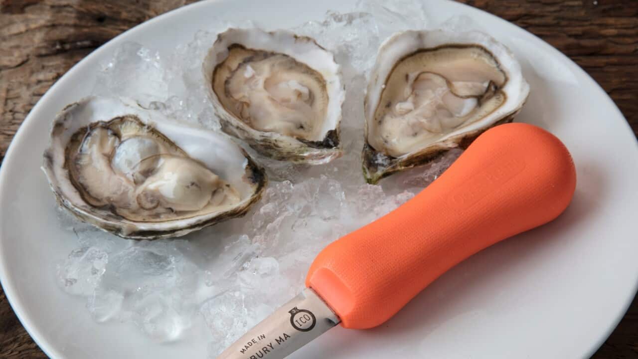 Oysters