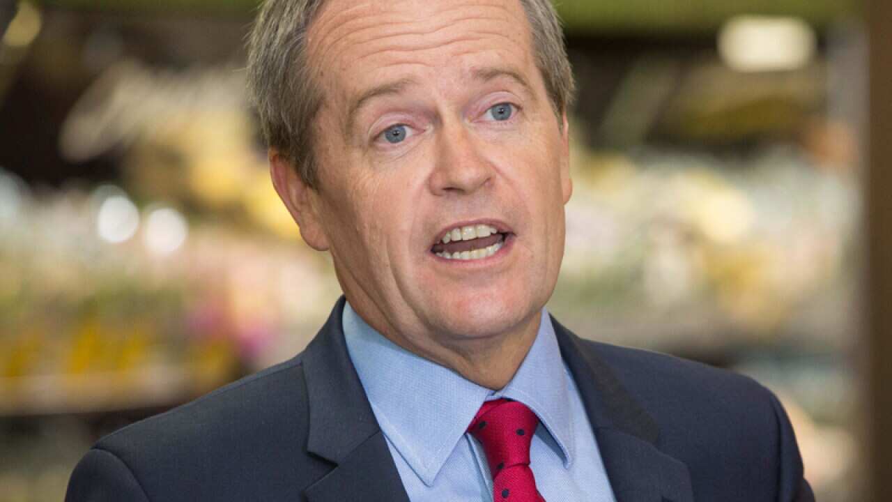 Federal Opposition Leader Bill Shorten