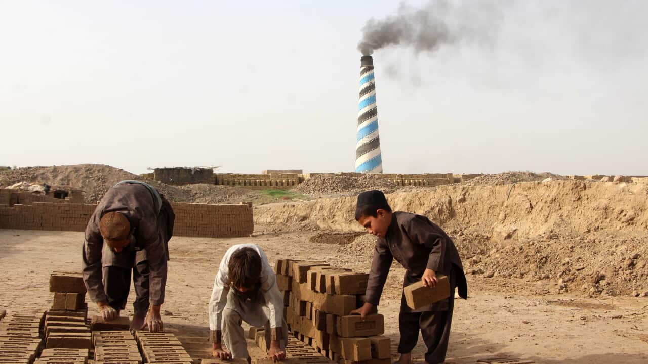 Child labor persists in Kandahar's brick kilns amid poverty