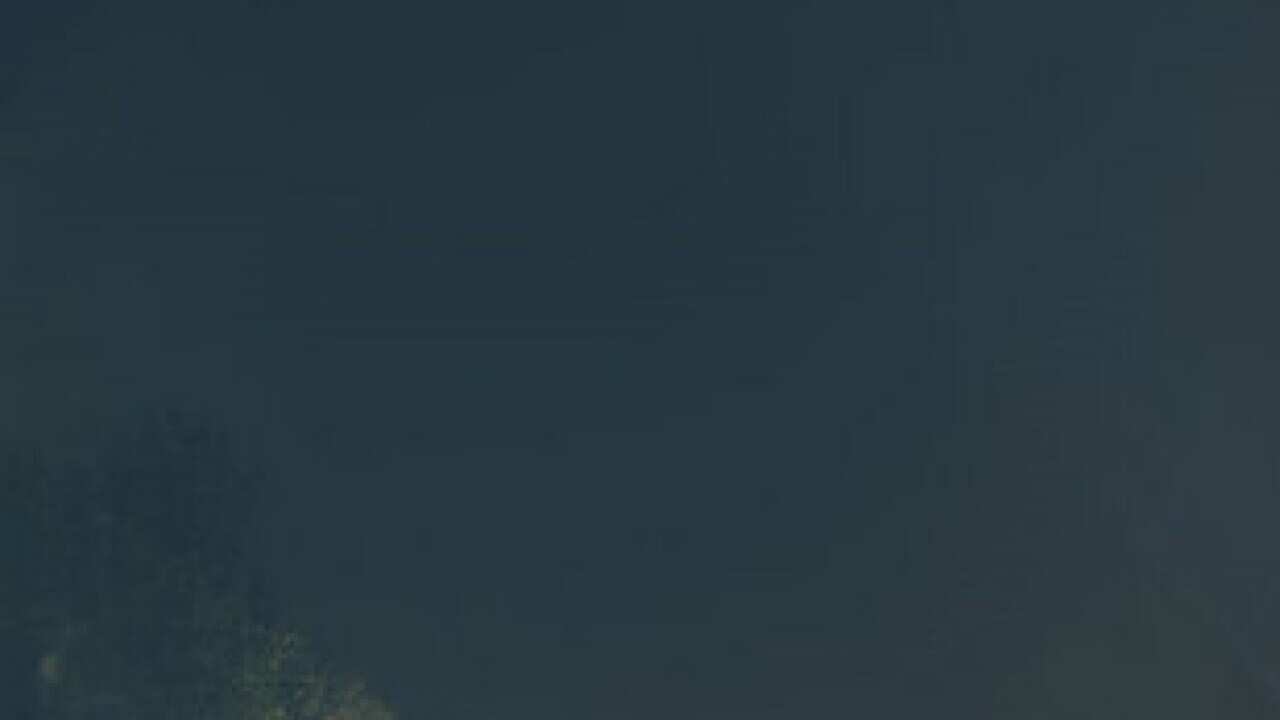 Image for read more article 'Other top stories on SBS Punjabi'