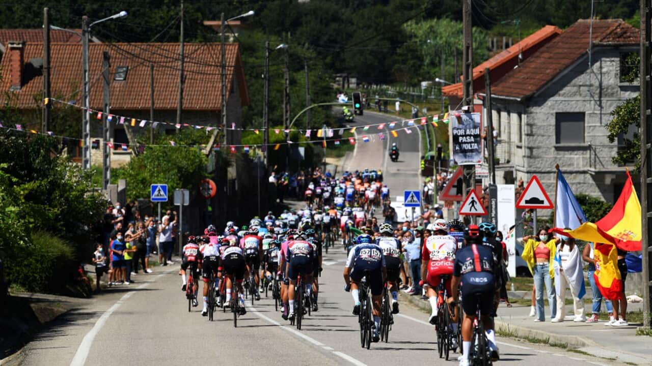 Cyclists contest a stage of La Vuelta