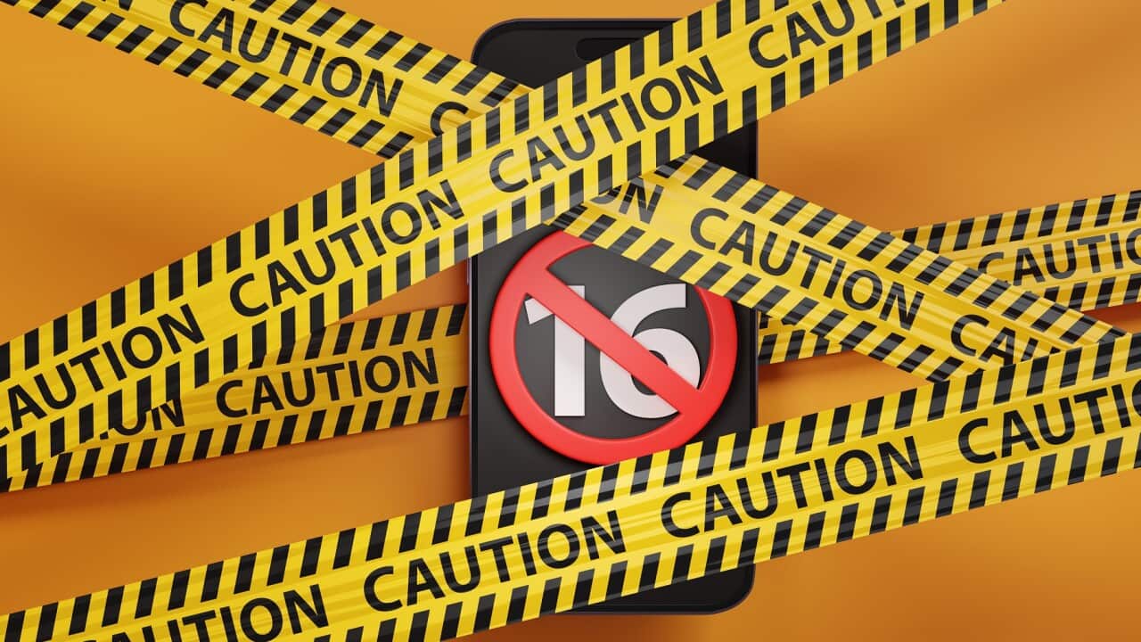 Image for read more article 'READ MORE'