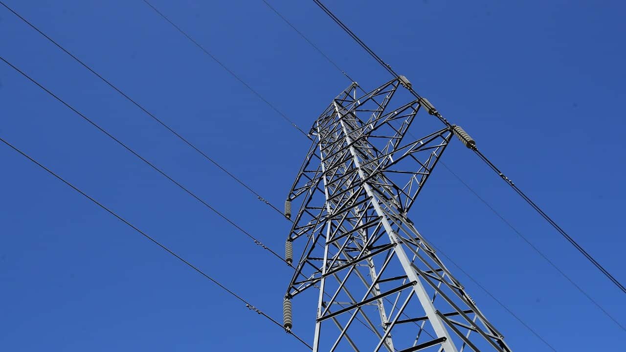 ELECTRICITY STOCK QUEENSLAND