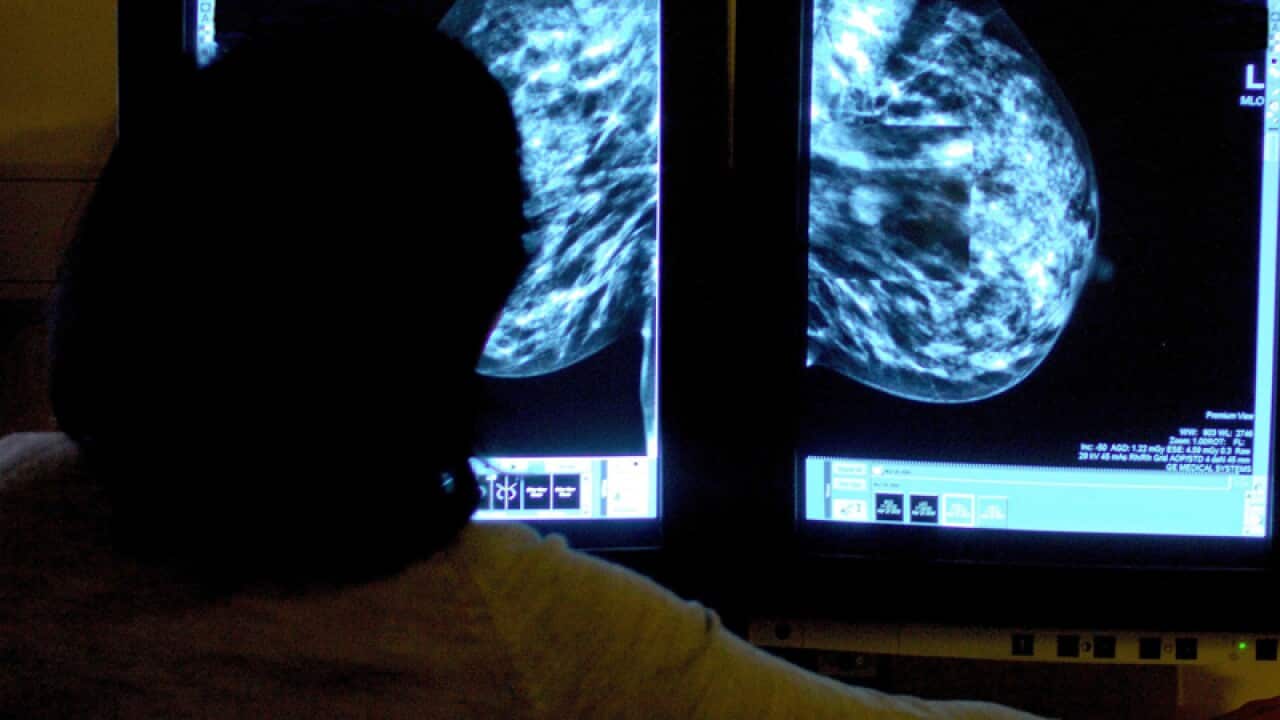 A consultant studying a mammogram