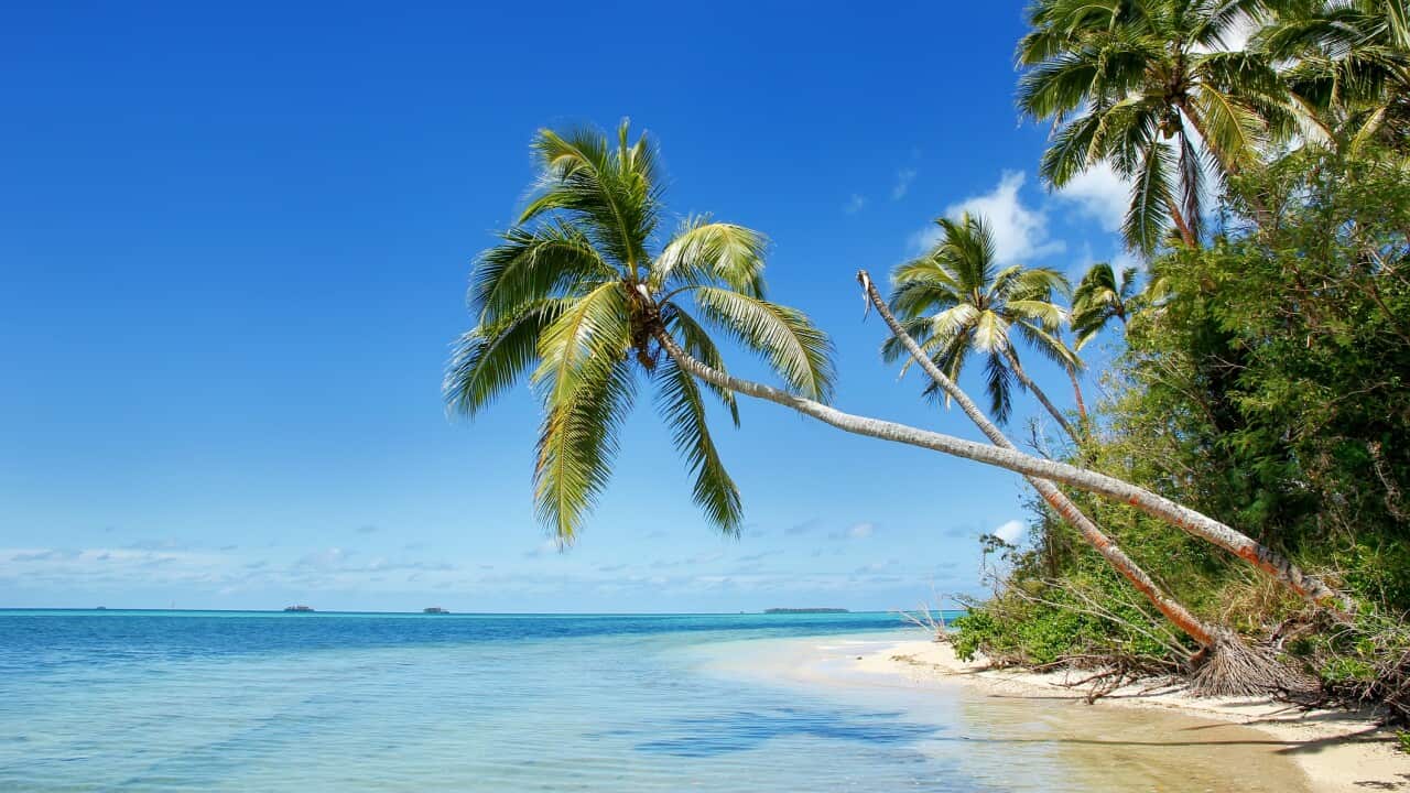 Shore of Makaha'a island near Tongatapu island in Tonga