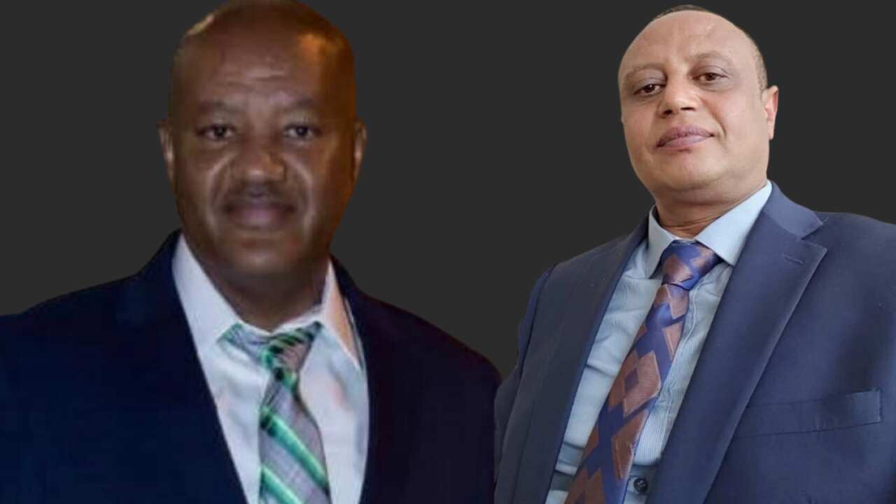 Fitsum and Geletaw I.png
