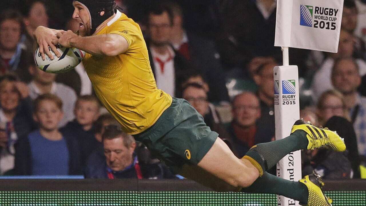 Wallabies centre Matt Giteau