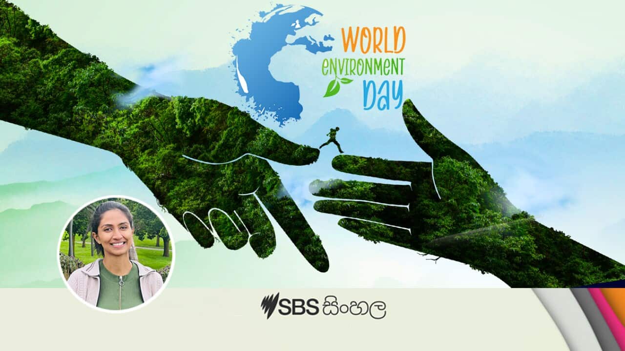 Nipuni Interview image.jpg