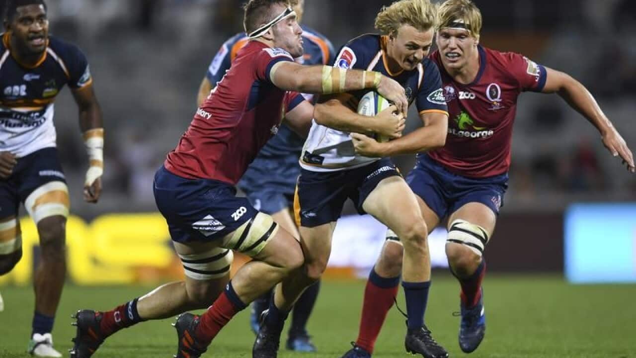 Brumbies