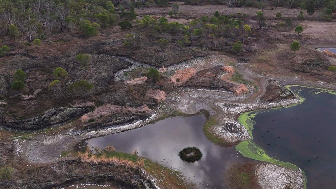 INDIGENOUS RANGERS