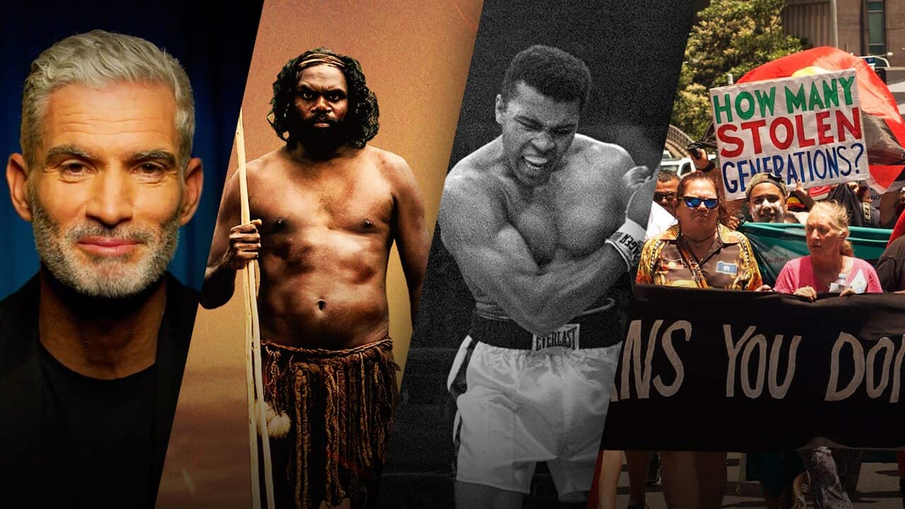 Craig Foster guest curator