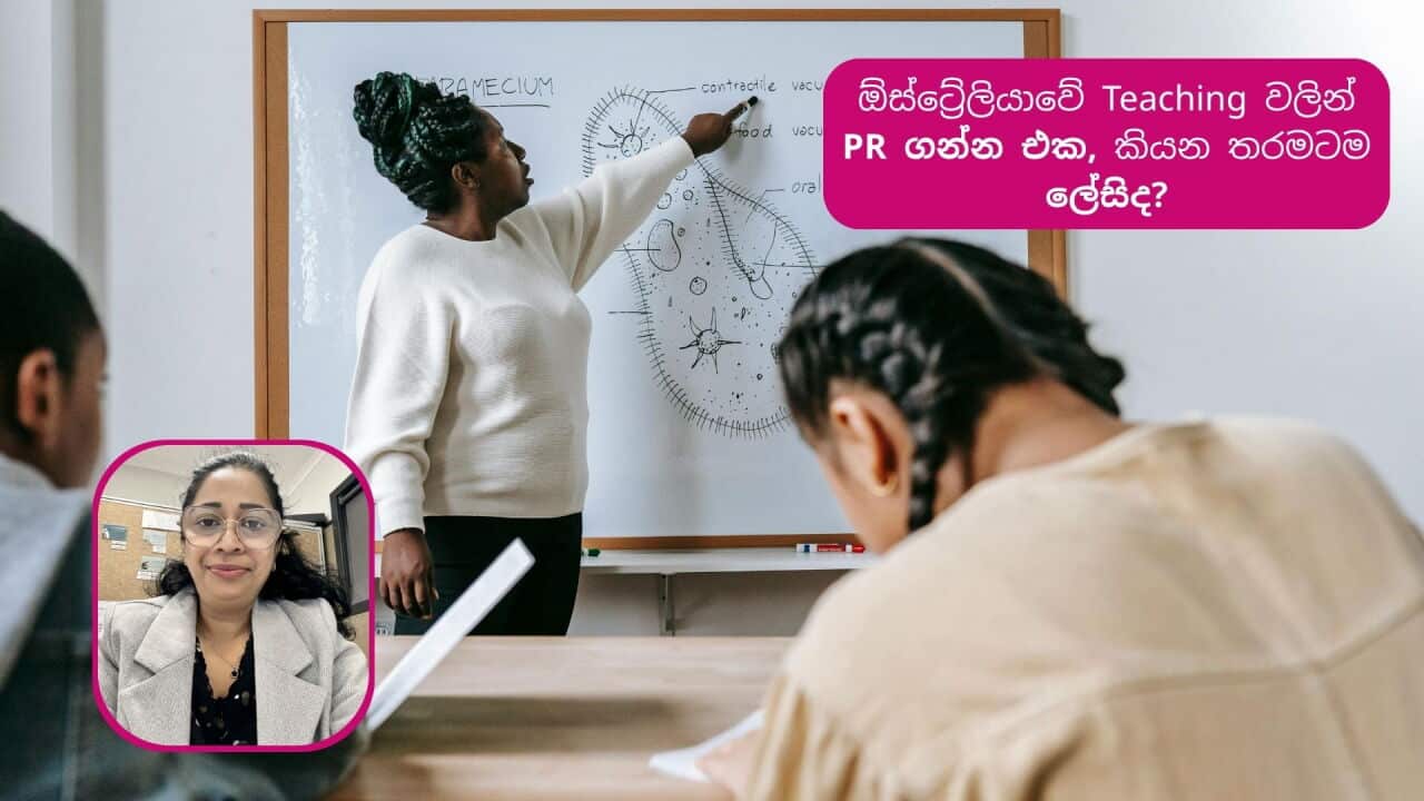 SBS SInhala Image (4).jpg