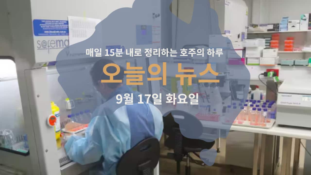 15news_web13 (1).png