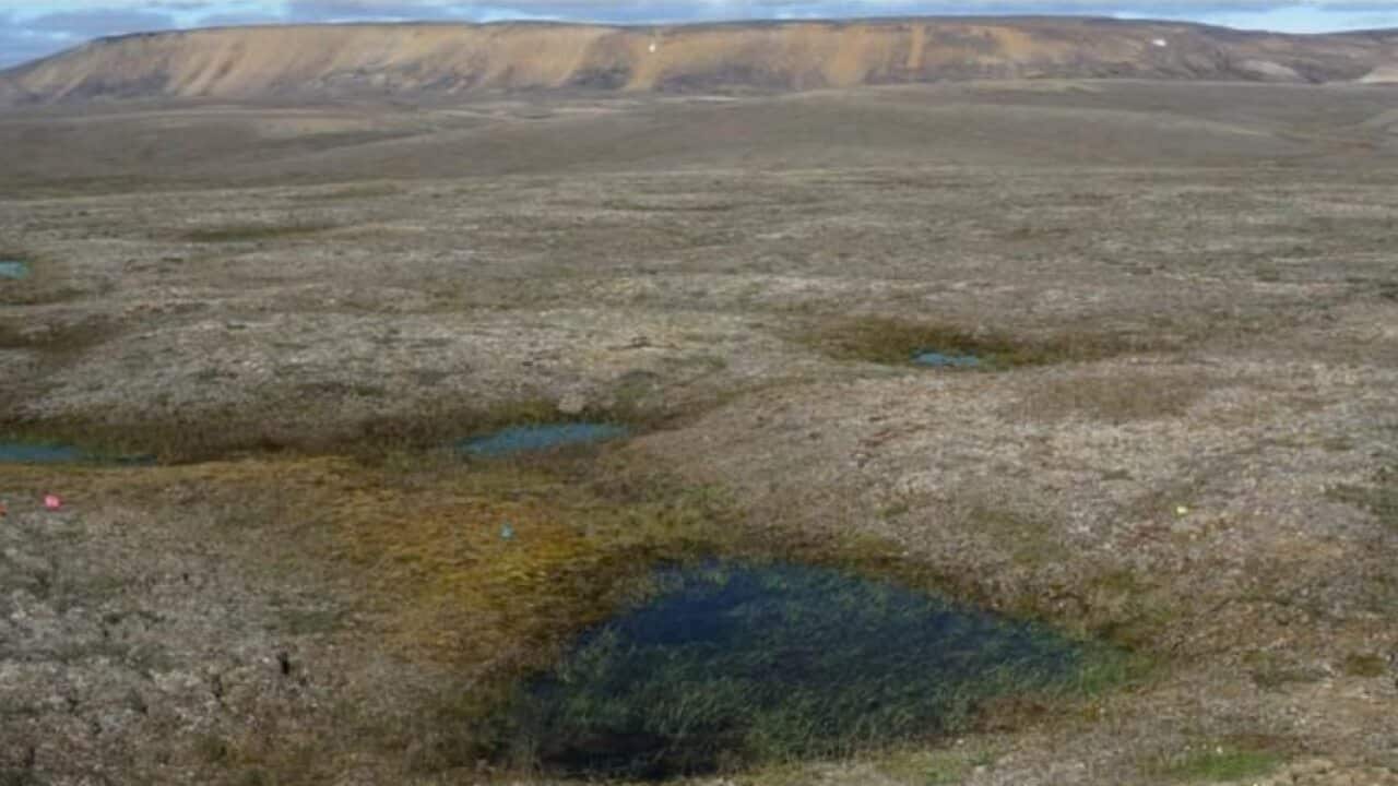 A landscape of partially thawed Arctic permafrost near Mould Bay, Canada.
