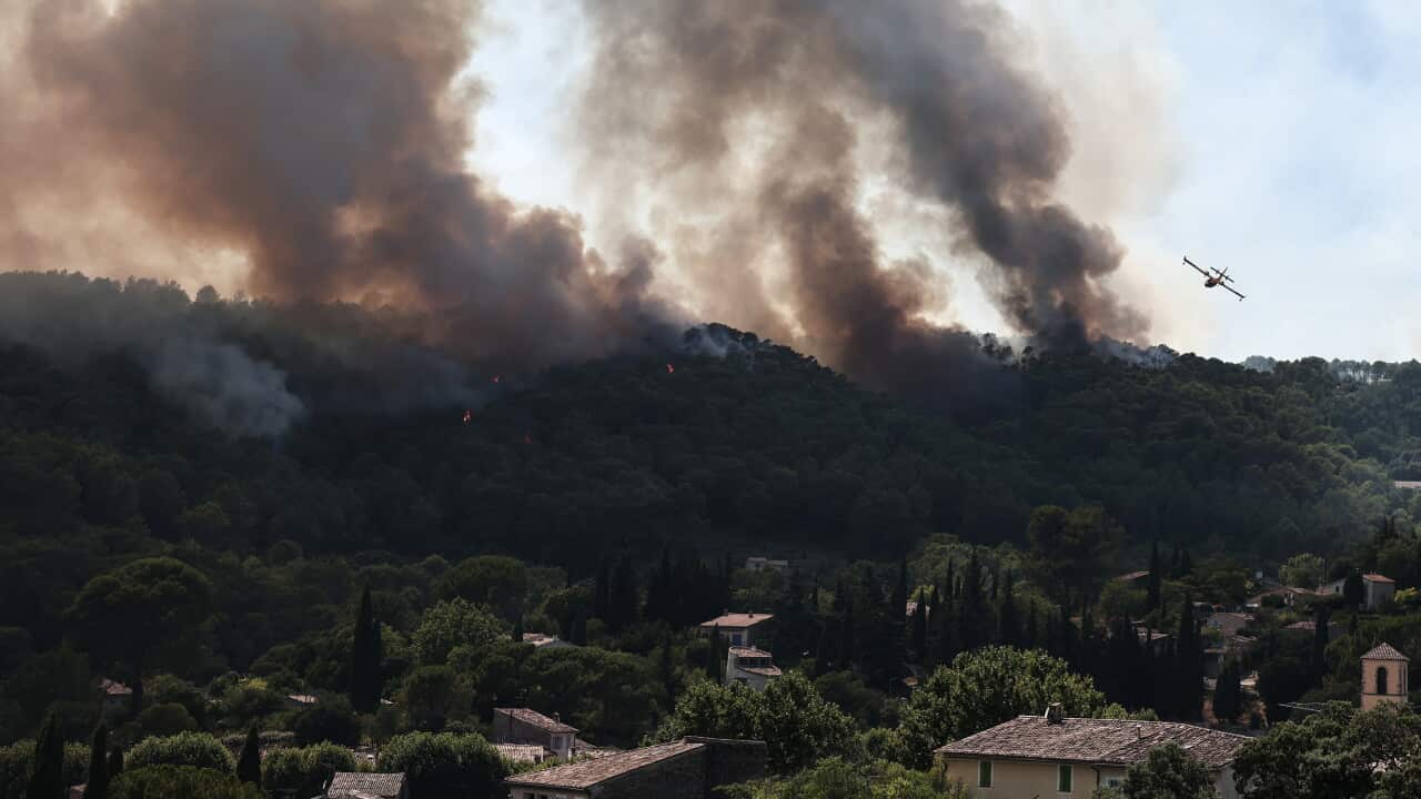 Plumes of black smoke rise from treelined hills next to a small town