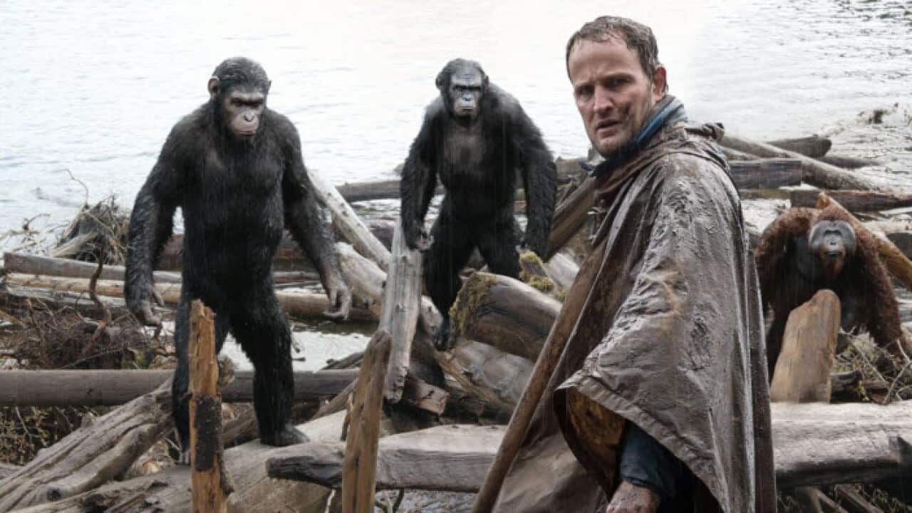 Dawn of the planet of the apes_704.jpg