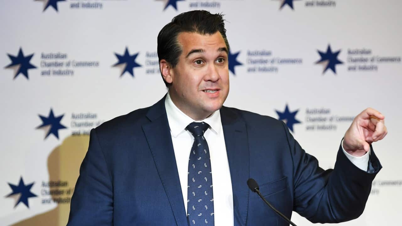 Image for read more article 'Δείτε ακόμη...'