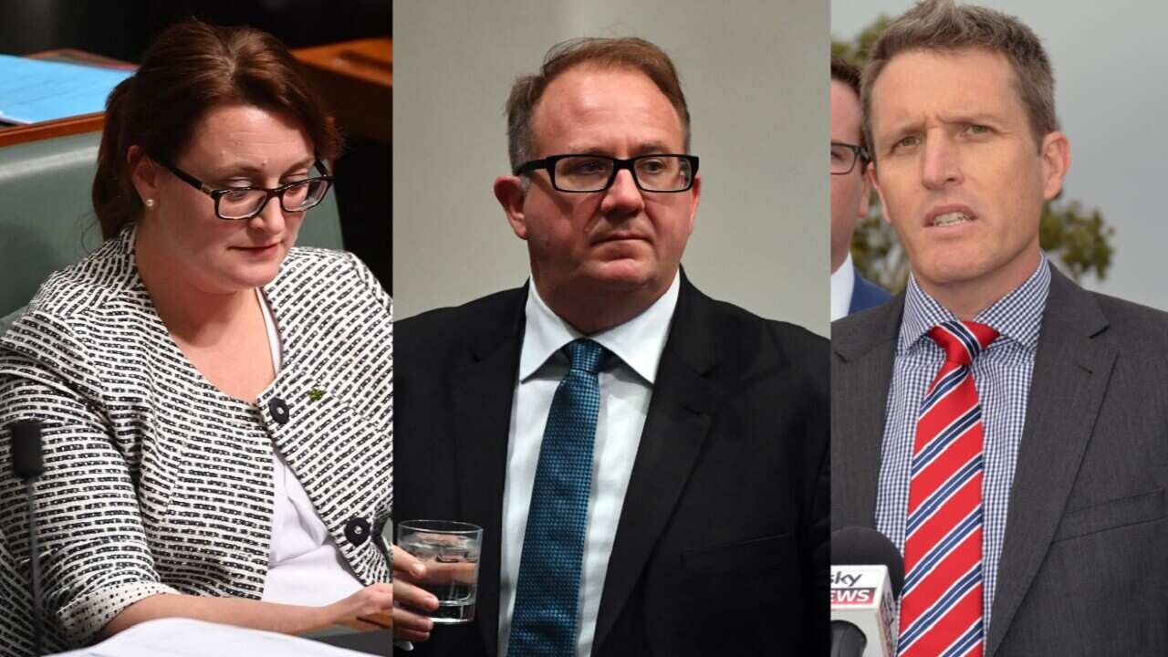 Labor MPs David Feeney, Justine Keay and Josh Wilson have been caught up in the dual citizenship saga.