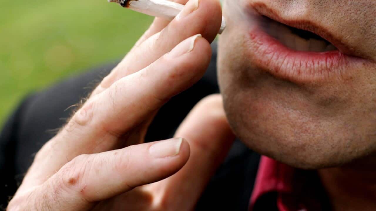 A man smokes a Marijuana joint at a park in Sydney