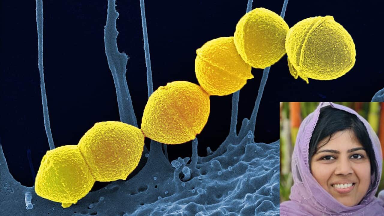 MicrosoftTeams-image (53).png