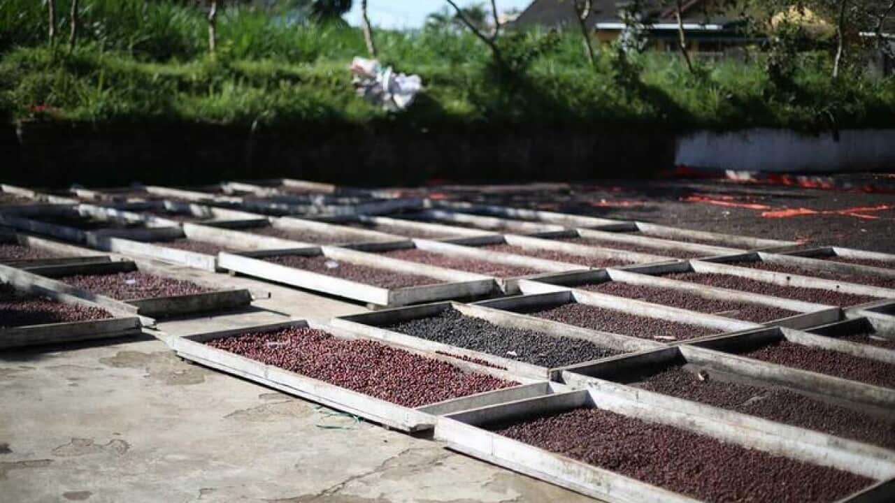 Mount Malabar in Java, Indonesia