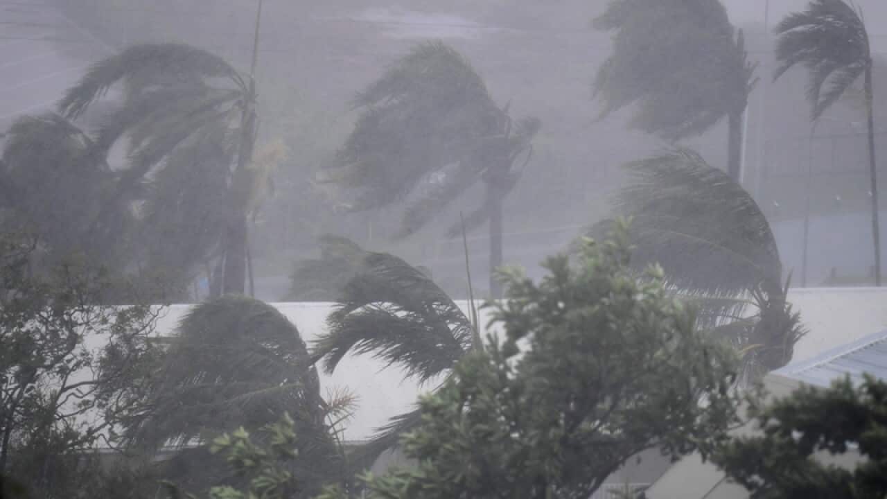 Strong winds and rain lash Airlie Beach