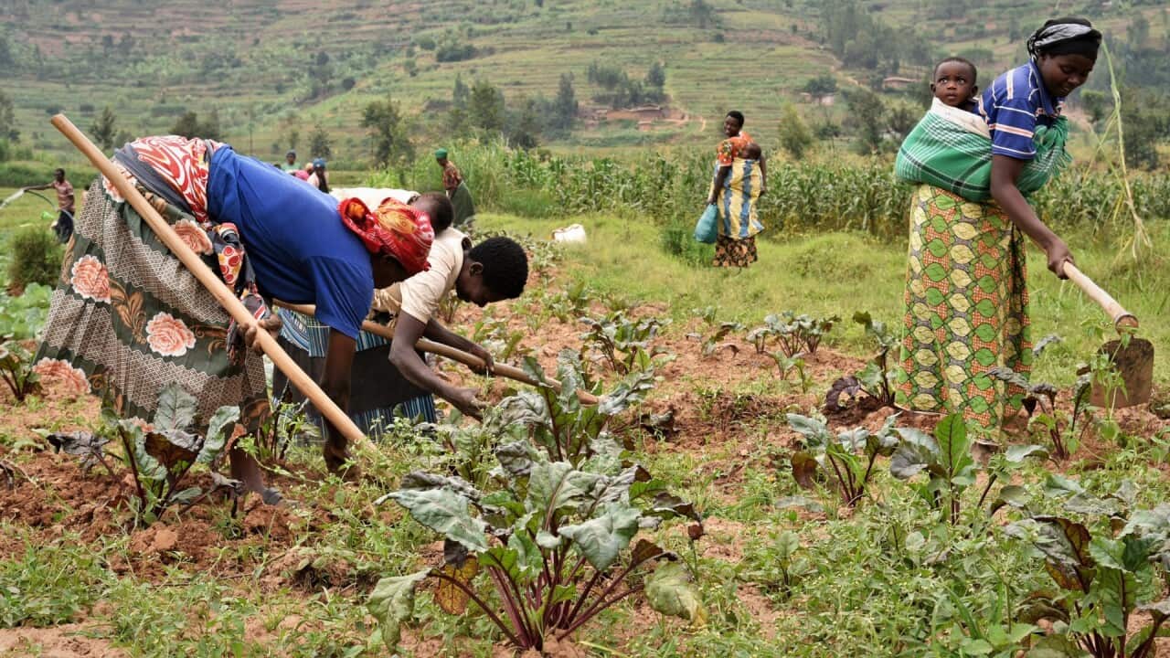 Presentazione diritto al cibo - 20