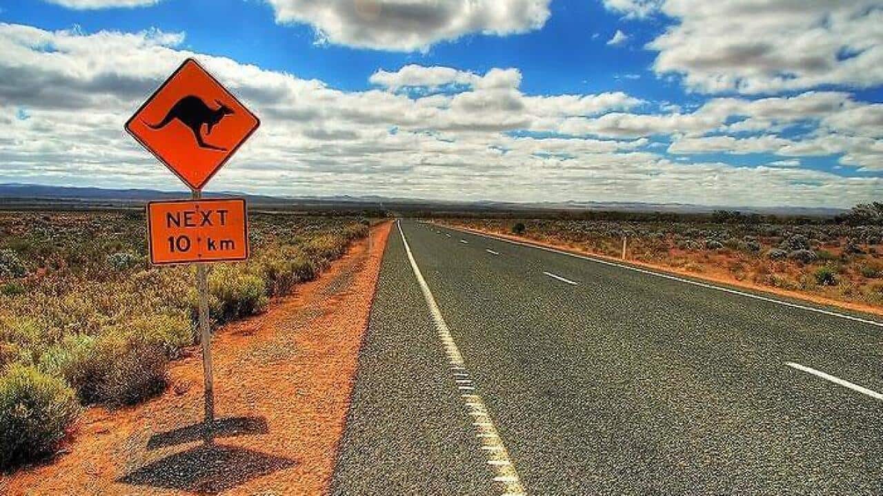 Forcing migrants to regional areas to relieve city congestion 'will have little impact'