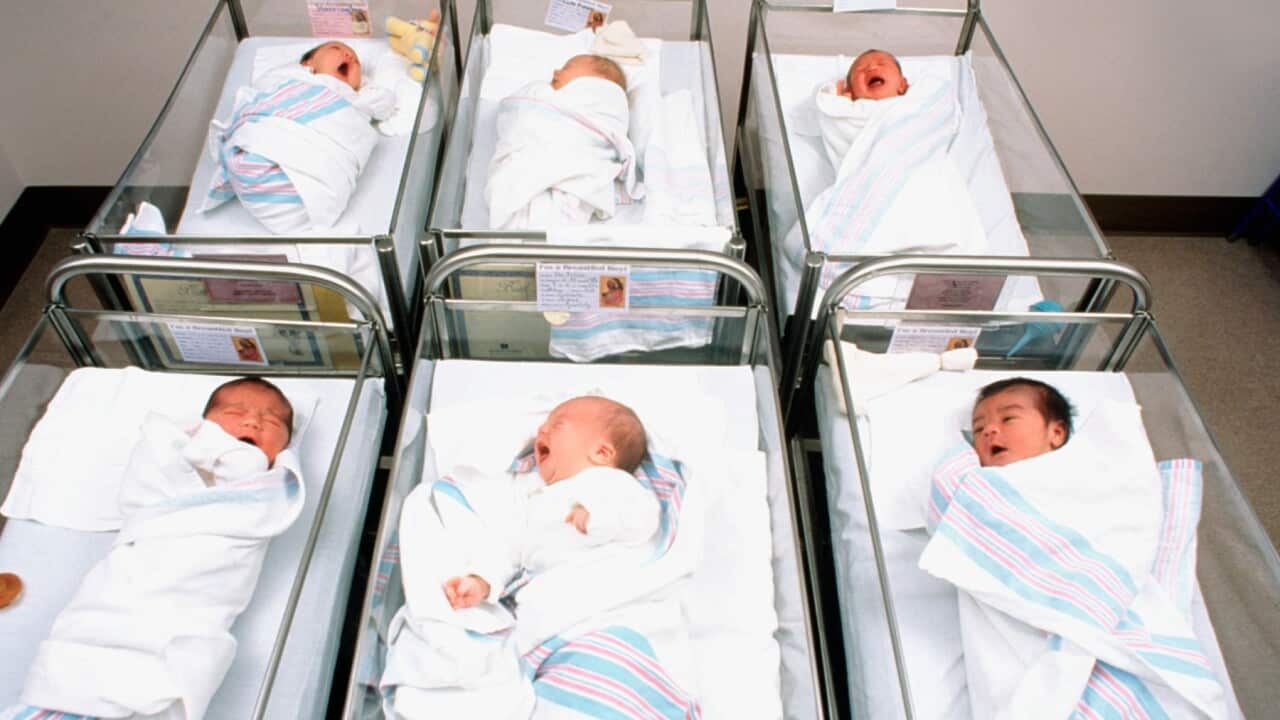 Newborn babies' nursery